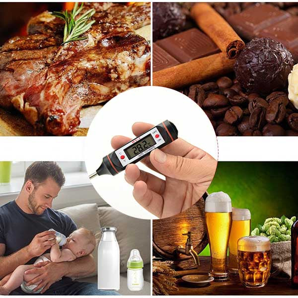Kitchen digital core thermometer